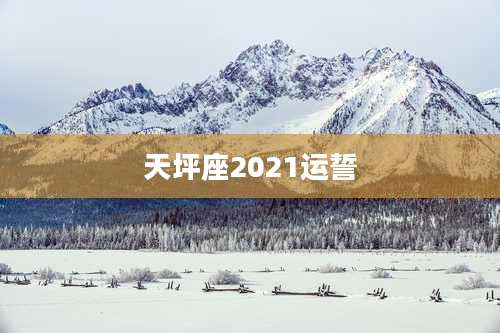 天坪座2021运誓