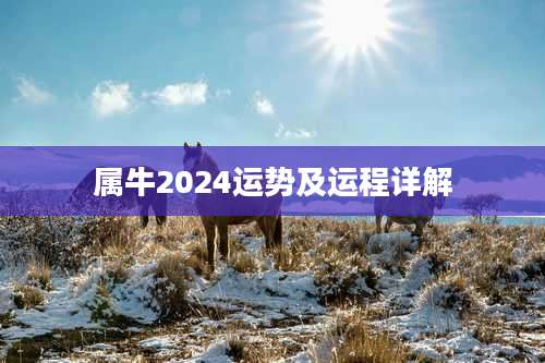属牛2024运势及运程详解