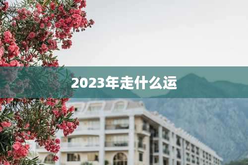 2023年走什么运