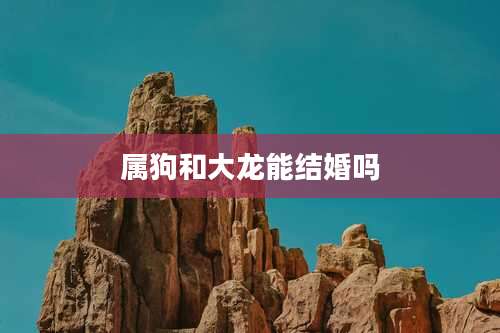 属狗和大龙能结婚吗