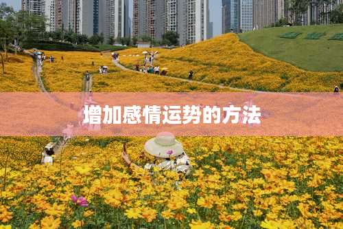 增加感情运势的方法