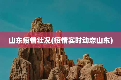 山东疫情壮况(疫情实时动态山东)