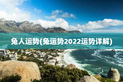 兔人运势(兔运势2022运势详解)