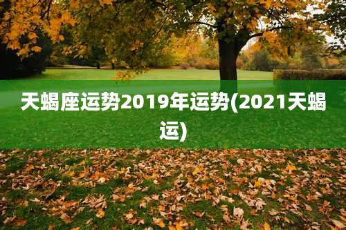 天蝎座运势2019年运势(2021天蝎运)