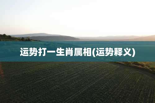 运势打一生肖属相(运势释义)