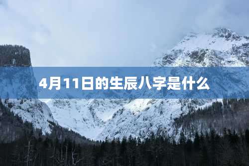 4月11日的生辰八字是什么