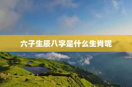 六子生辰八字是什么生肖呢