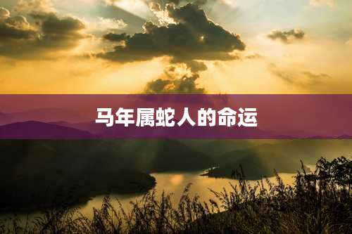 马年属蛇人的命运