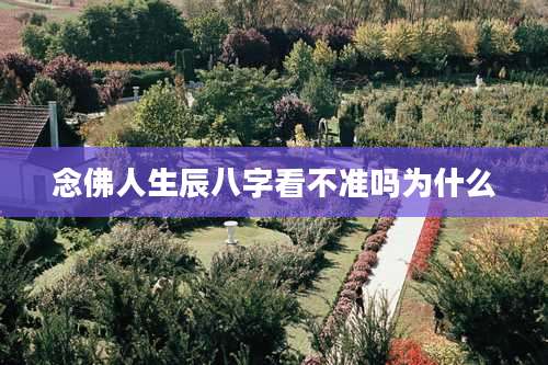念佛人生辰八字看不准吗为什么