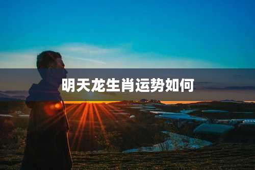 明天龙生肖运势如何
