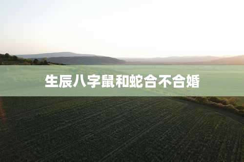生辰八字鼠和蛇合不合婚