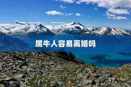 属牛人容易离婚吗