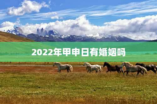 2022年甲申日有婚姻吗