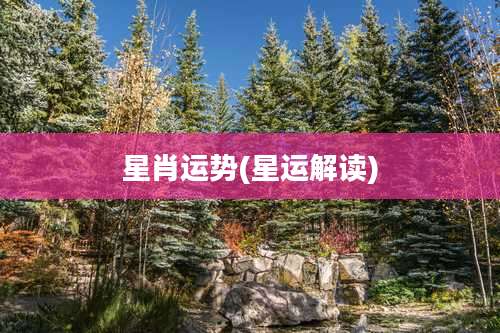 星肖运势(星运解读)