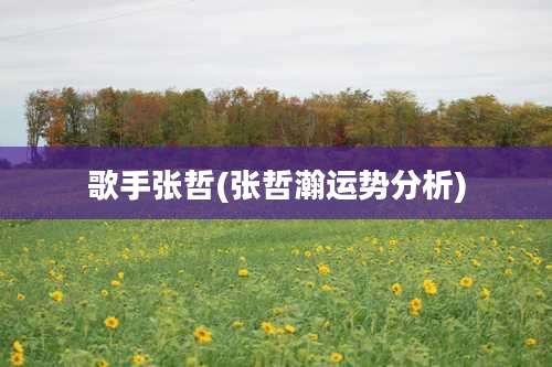 歌手张哲(张哲瀚运势分析)