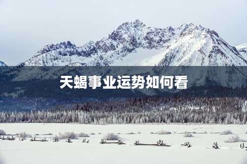 天蝎事业运势如何看