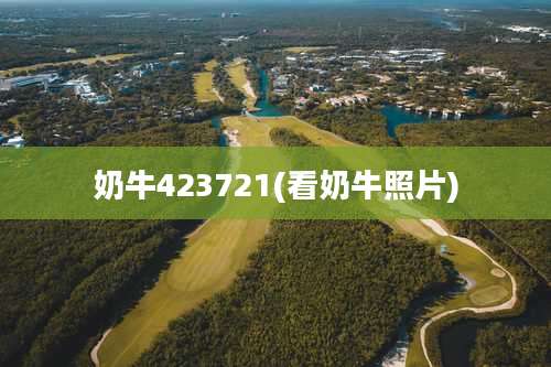 奶牛423721(看奶牛照片)
