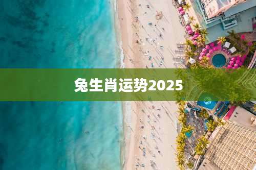 兔生肖运势2025