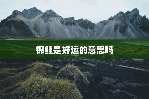 锦鲤是好运的意思吗