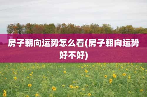 房子朝向运势怎么看(房子朝向运势好不好)