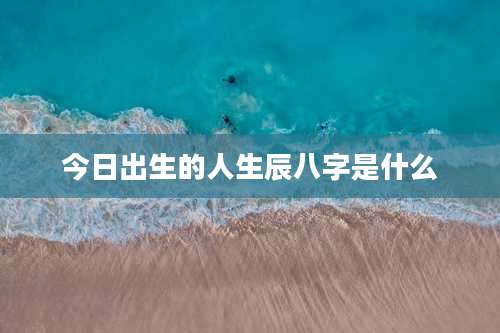今日出生的人生辰八字是什么
