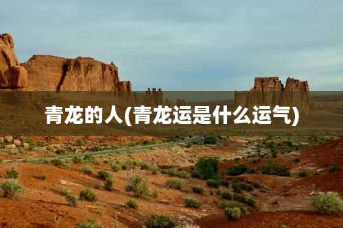 青龙的人(青龙运是什么运气)