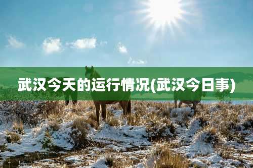 武汉今天的运行情况(武汉今日事)