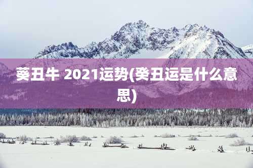 葵丑牛 2021运势(癸丑运是什么意思)