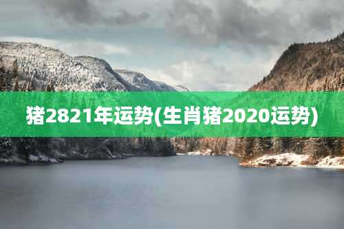 猪2821年运势(生肖猪2020运势)