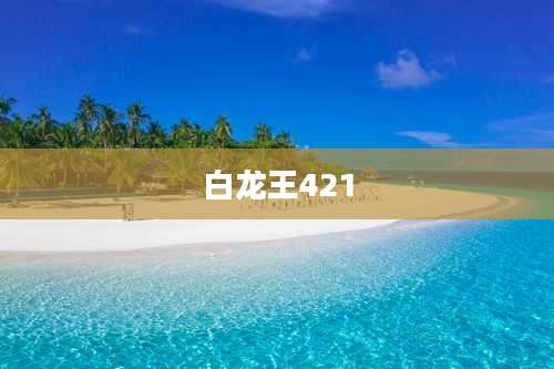 白龙王421
