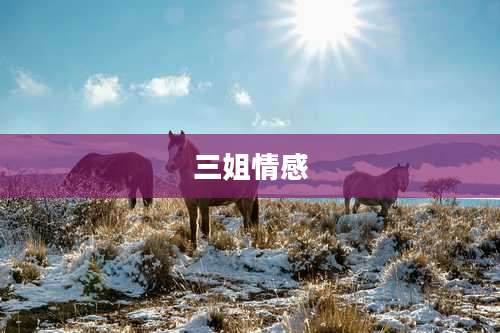 三姐情感