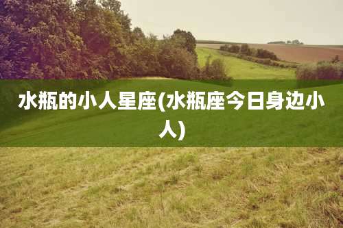 水瓶的小人星座(水瓶座今日身边小人)