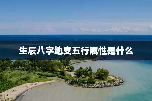 生辰八字地支五行属性是什么