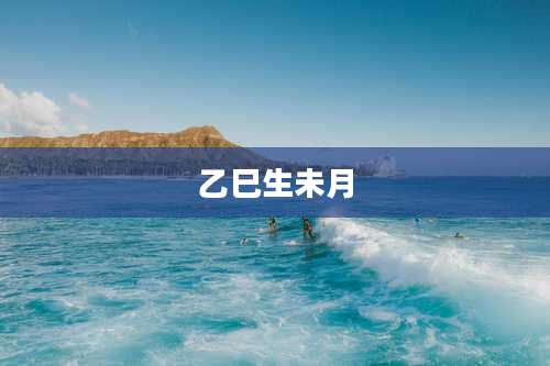 乙巳生未月