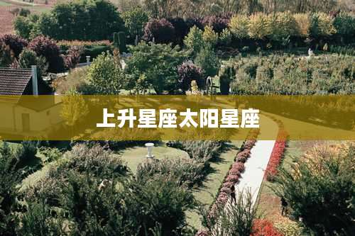 上升星座太阳星座