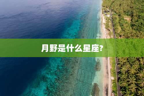月野是什么星座?