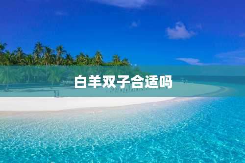 白羊双子合适吗
