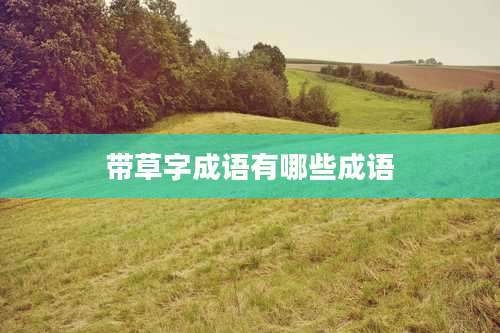 带草字成语有哪些成语