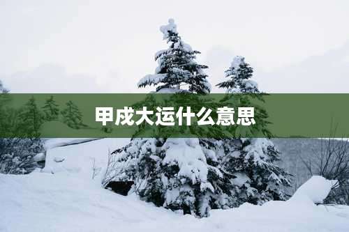 甲戍大运什么意思