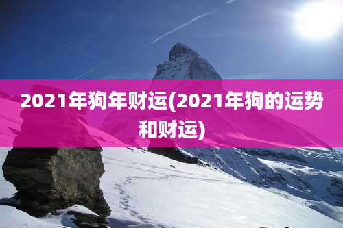 2021年狗年财运(2021年狗的运势和财运)
