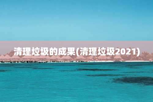 清理垃圾的成果(清理垃圾2021)