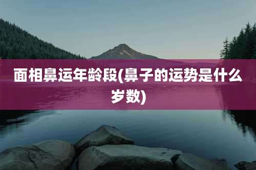 面相鼻运年龄段(鼻子的运势是什么岁数)