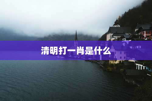 清明打一肖是什么