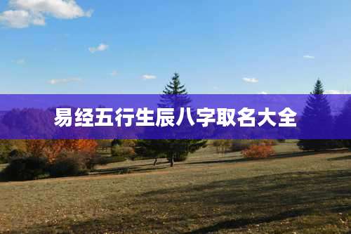 易经五行生辰八字取名大全