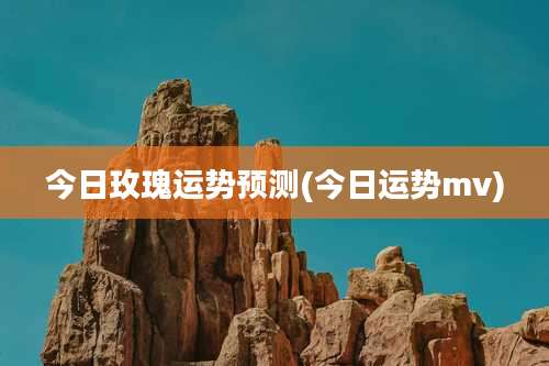 今日玫瑰运势预测(今日运势mv)