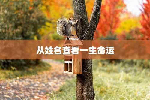 从姓名查看一生命运