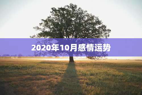 2020年10月感情运势