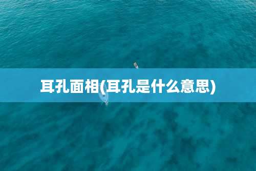 耳孔面相(耳孔是什么意思)