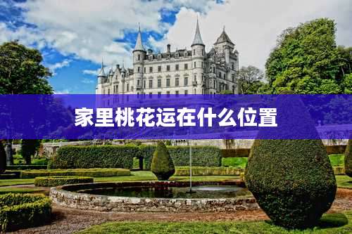 家里桃花运在什么位置