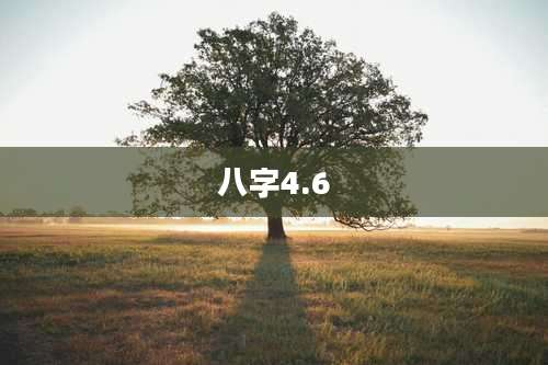 八字4.6